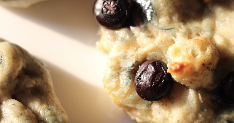 Galettes moelleuses au yogourt grec et bleuets (sans produits laitiers et œufs)